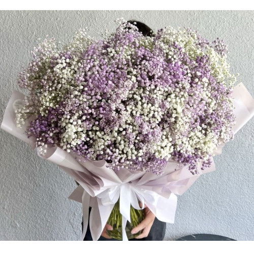 Gypsophila Bouquet